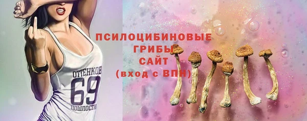 mdma Богданович
