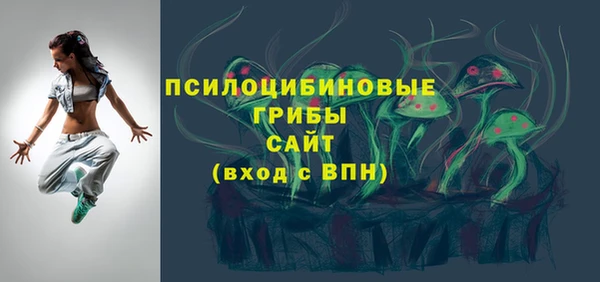 таблы Богородицк