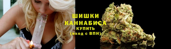 МДПВ Богородск