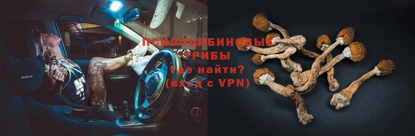таблы Богородицк