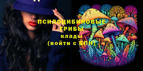 mdma Богданович