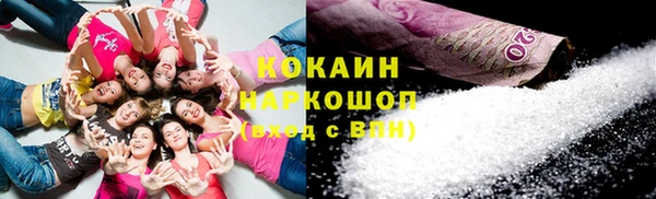МДПВ Богородск