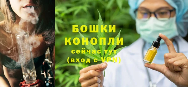 МДПВ Богородск