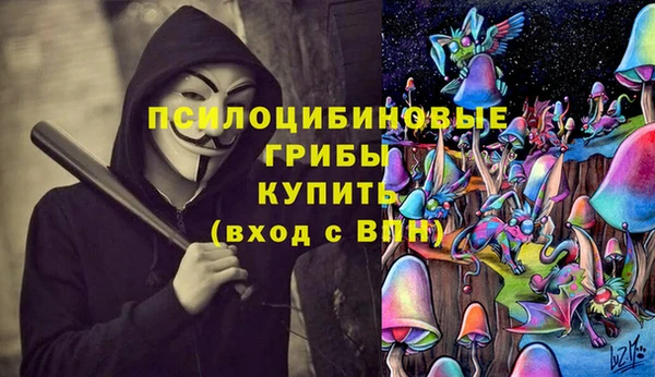 МДПВ Богородск